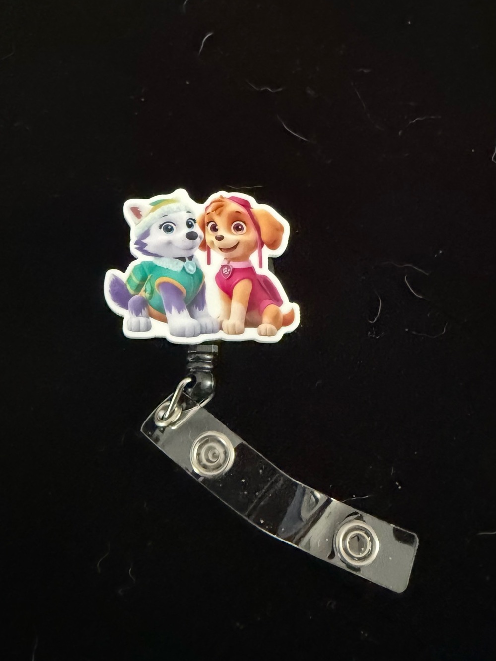 Paw Patrol Skye & Everest Badge Reel – Pink & Teal